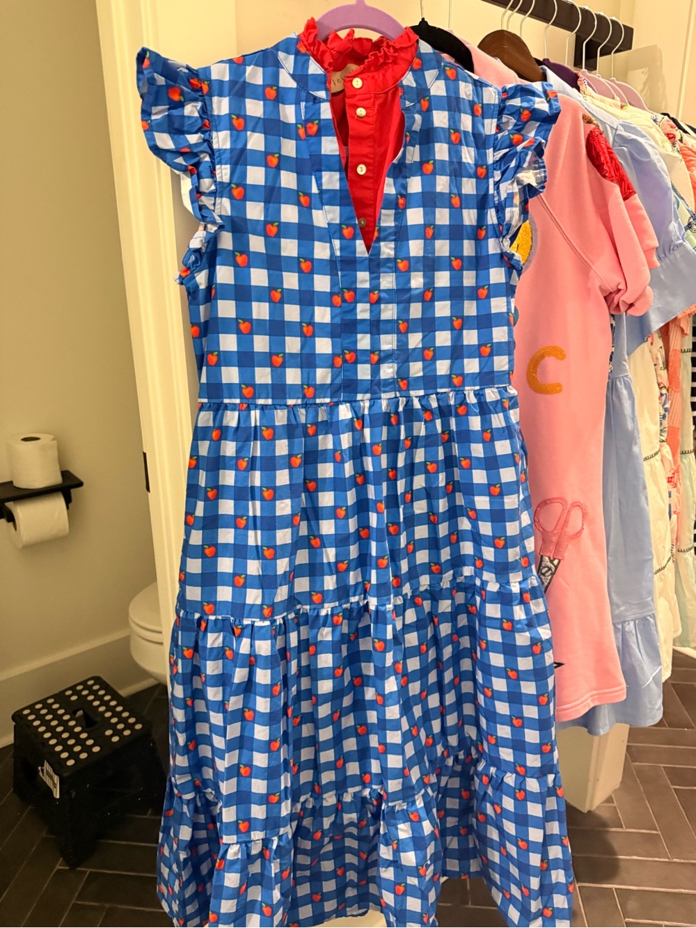 Blue Gingham Heart Print Dress with Red Collar